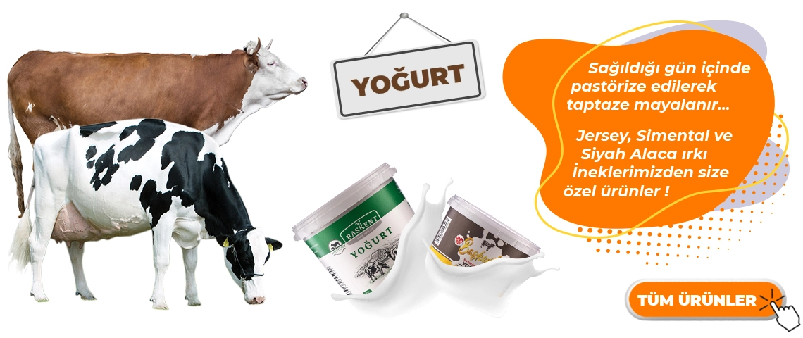 baskentyogurt
