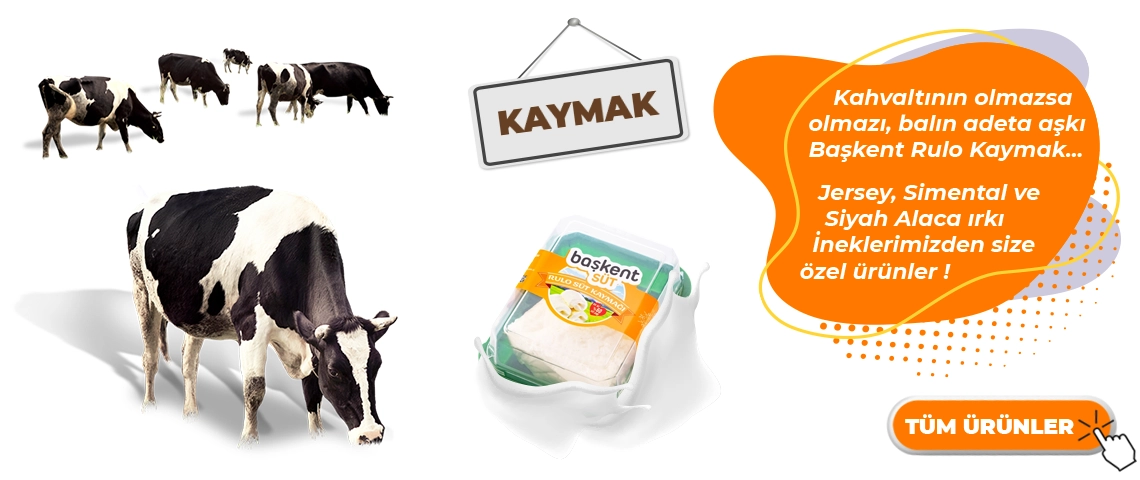 kaymak